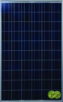 Polycrystalline PV Cell Module photo